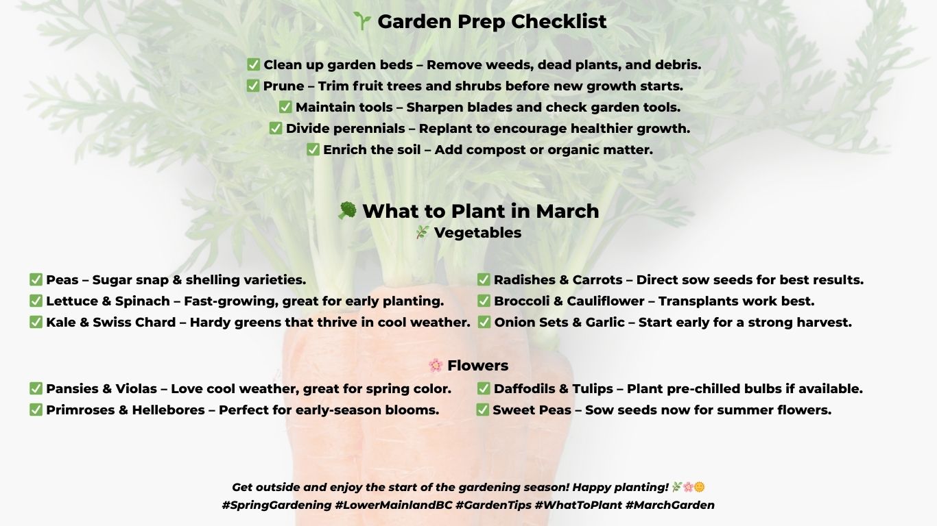 Your Spring Garden Cheat Sheet